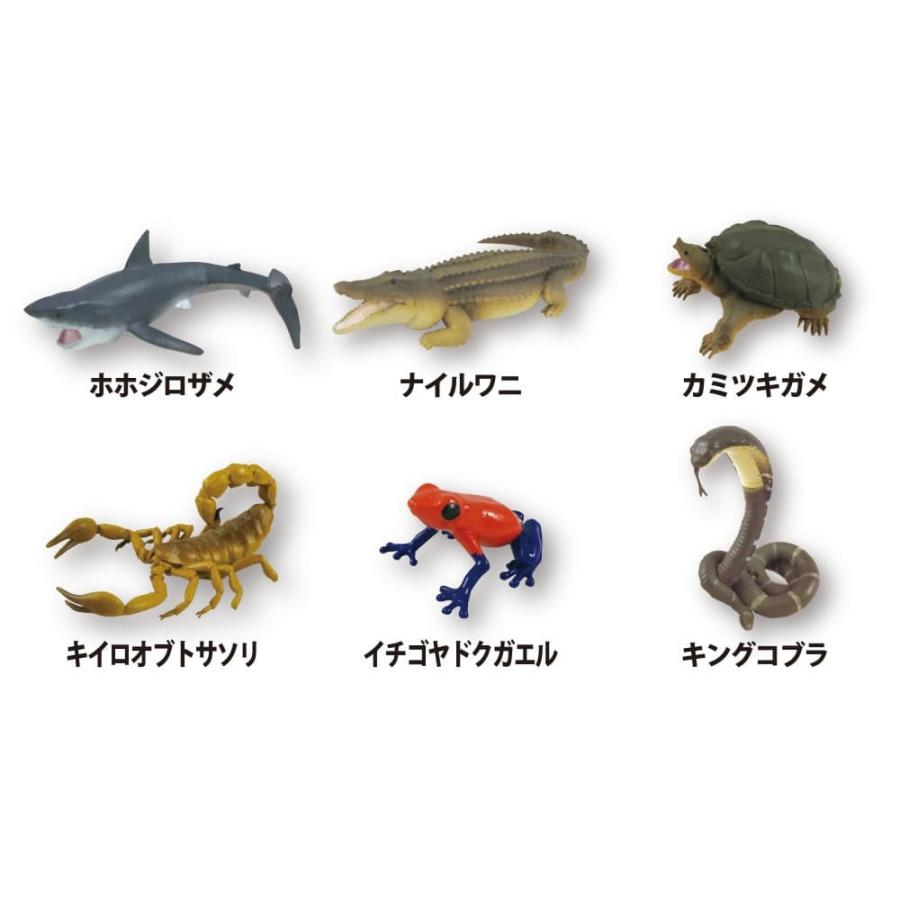 ノルコーポレーション 学研の図鑑ライブLIVE 危険生物 バスボール