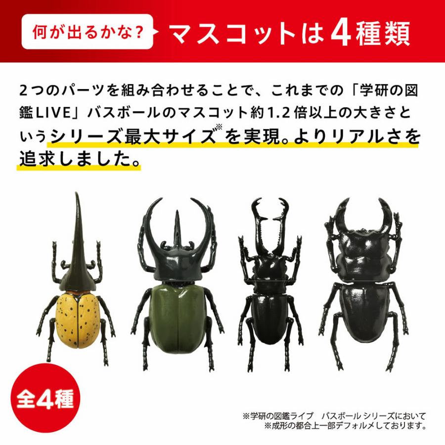 学研の図鑑ライブLIVE カブトムシ＆クワガタ BIG バスボール さわやかな空の香り お風呂で学べるミニ図鑑付き マスコット入り入浴剤 バスボム バスフィズ｜urbene｜05