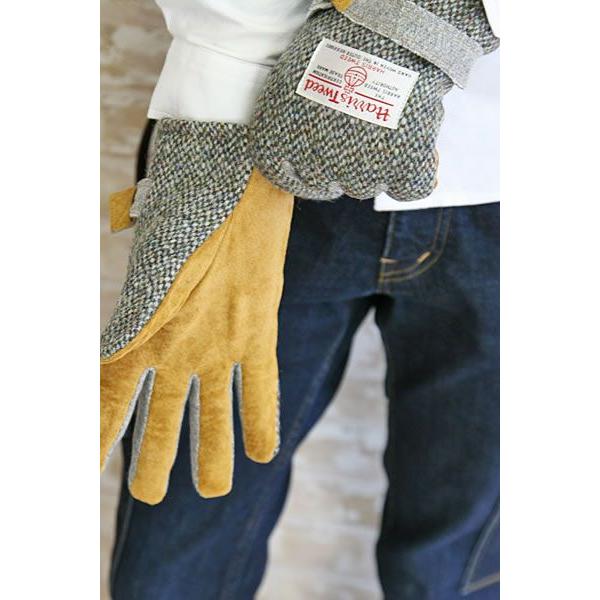 gym master（ジムマスター） ハリスツイード コラボレーション