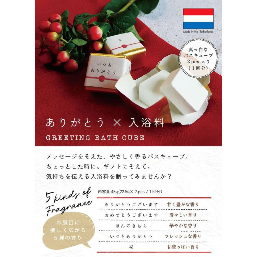 【専用】バスキューブ 入浴剤 ご挨拶 メッセージ付 固形入浴剤 　204個 ノルコーポレーション 気持ちを贈る ありがとう入浴料 / ご挨拶