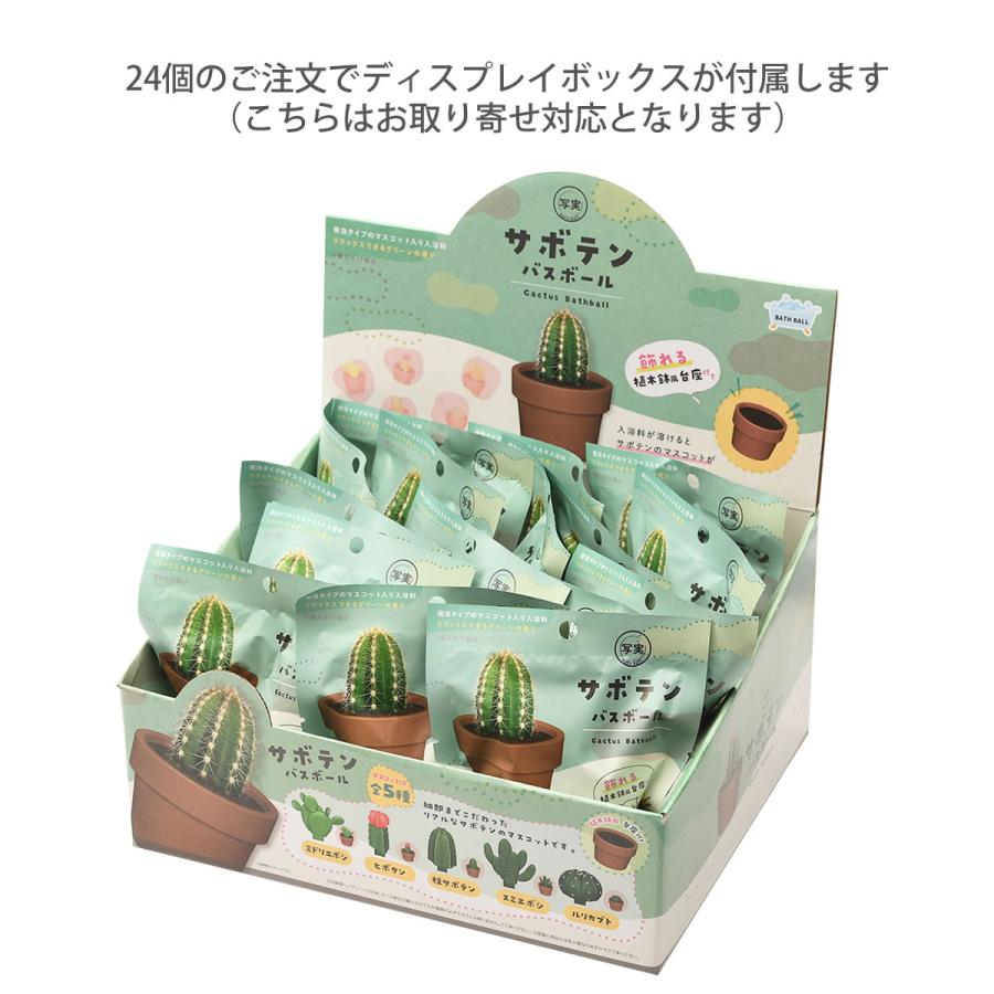ノルコーポレーション サボテン バスボール リアルなサボテンの