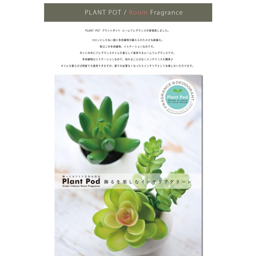 Plant Pot プラントポット Room Fragrance ルームフレグランス 多肉植物モチーフ 置き型 部屋用 エアーフレッシュナー おしゃれ Plantpot Oa Ppf ジーンズ カジュアル アーベン 通販 Yahoo ショッピング