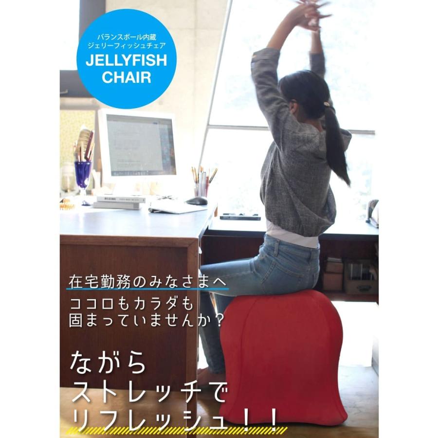 SPICE TC ジェリーフィッシュ　チェア バランスボール　スタンダード SPICE of Life バランスボール ジェリーフィッシュチェア