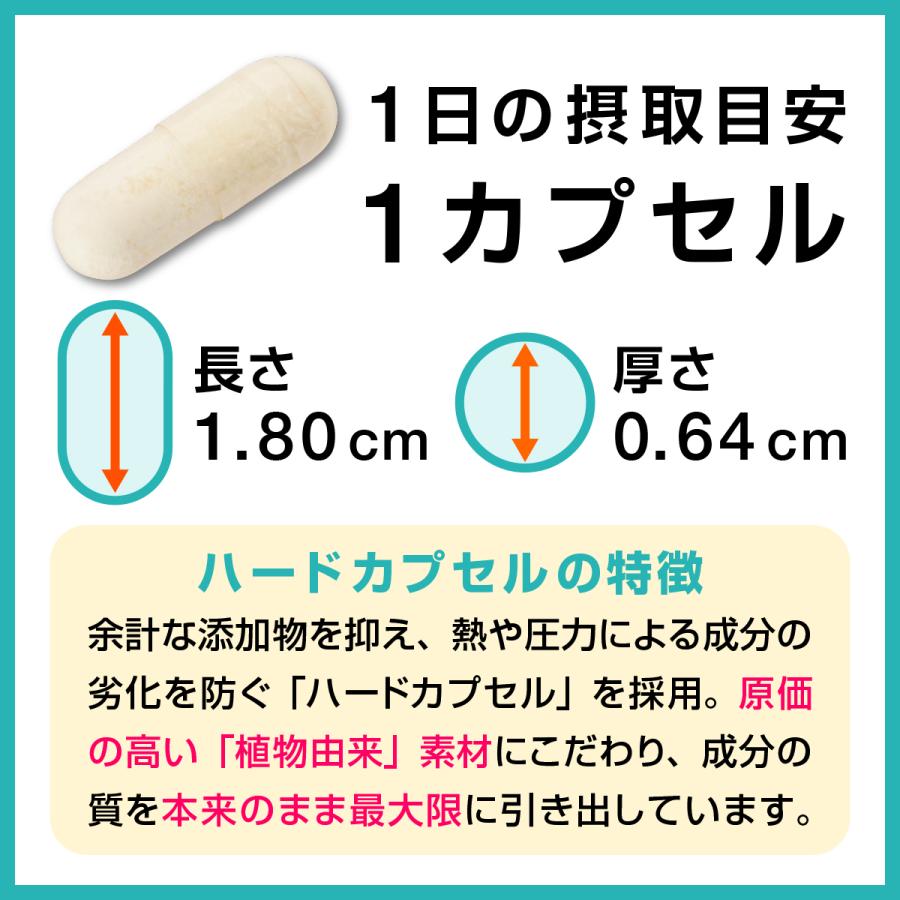 プロテオプラス 30粒(約1ヶ月分) プロテオグリカン 非変性II型
