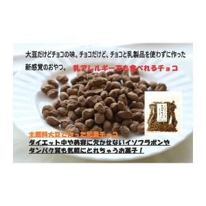 乳製品不使用 チョコレート 糖尿病の方にもオススメチョコ Soyちょこ125ｇ 1袋 ダイエット中にオススメチョコ 大豆 アレルギー対応 カラダ喜ぶ健康おやつ 通販 Yahoo ショッピング
