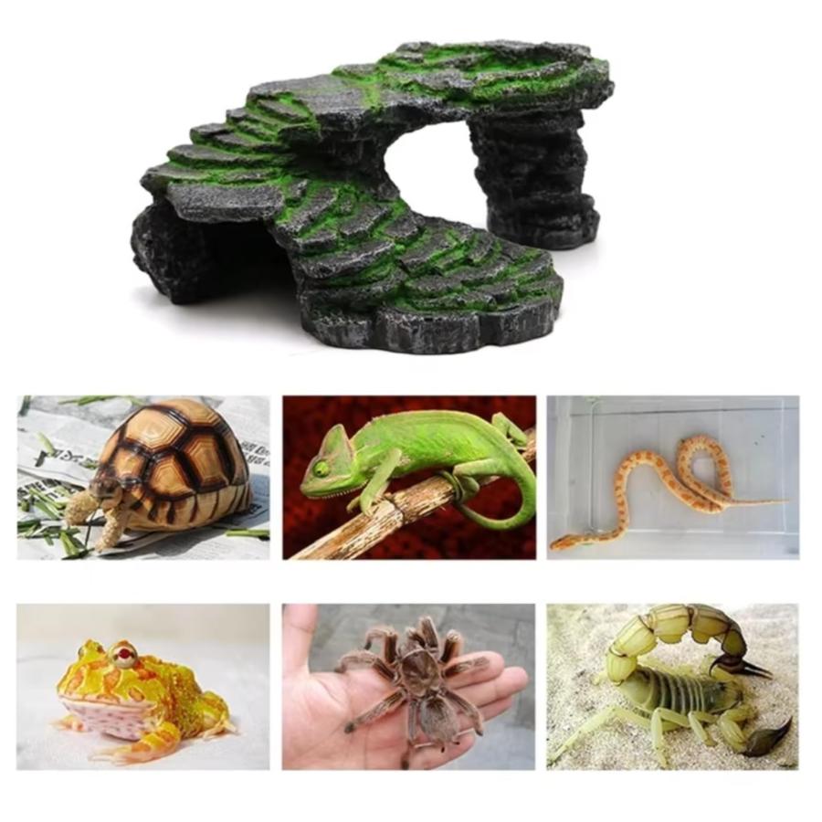Hyack レオパ シェルター 爬虫類 亀 陸地 隠れ家 スドー 苔 登り台 両生類 トカゲ |  | 03