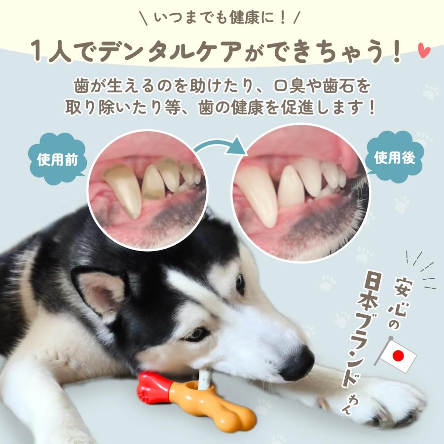 fabuon life 2025年新モデル 犬 ガム おやつ 飲み込み防止 早食い防止 窒息防止 犬用ガムスタンド おやつホルダー ガムホルダー 噛ん |  | 05