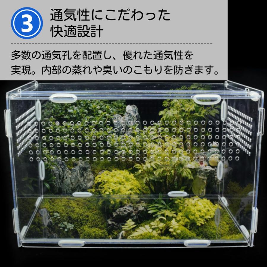 ★爬虫類飼育 水槽セット 飼育ケージ(おまけ付き) Amazon.co.jp: 給餌ケージ ボックス 爬虫類飼育水槽 爬虫類