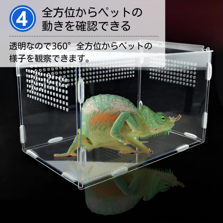 【O-1134】飼育ケージ ショーケース 爬虫類 イグアナ トカゲ ペット Amazon | Gwufiu 爬虫類 ケージ 120cm 大型 特大 亀トカゲヘビ