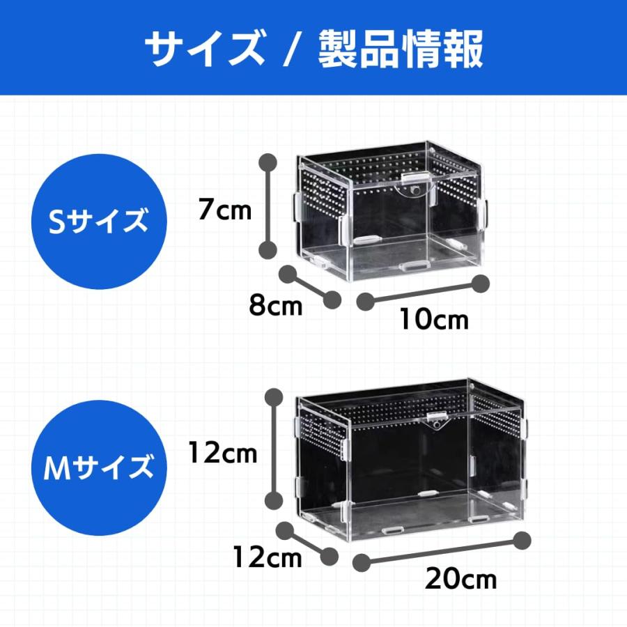 カナヘビ トカゲ 爬虫類 飼育セット