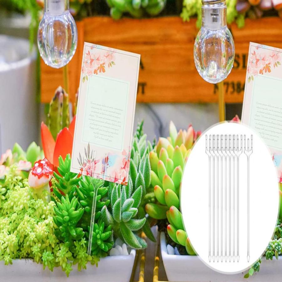 geneX メモクリップホルダー メモクリップ フラワーピック 花ピック プラスチック クリップ カードホルダー 31cm 80本 ギフト カード 誕 |  | 05