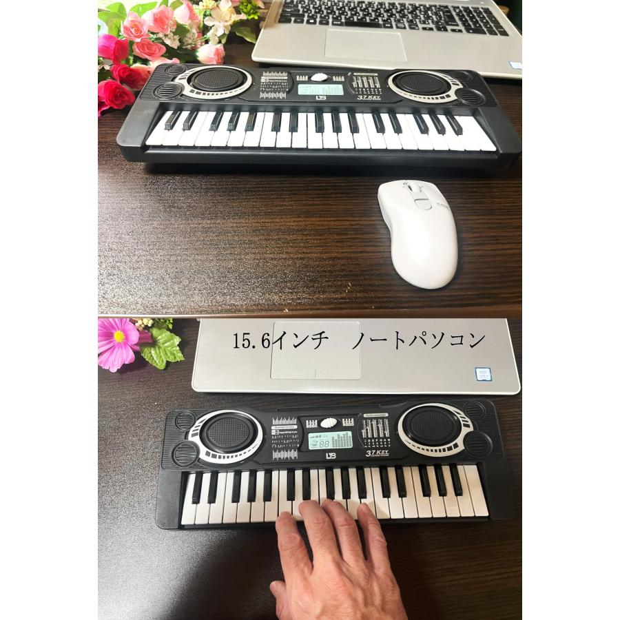 ミニオルガン 楽器 鍵盤楽器、ピアノ