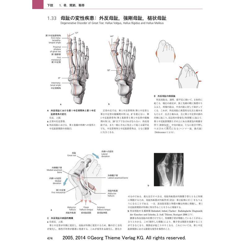 プロメテウス解剖学アトラス 解剖学総論/運動器系 第3版 解剖学総論/運動器系 第3版