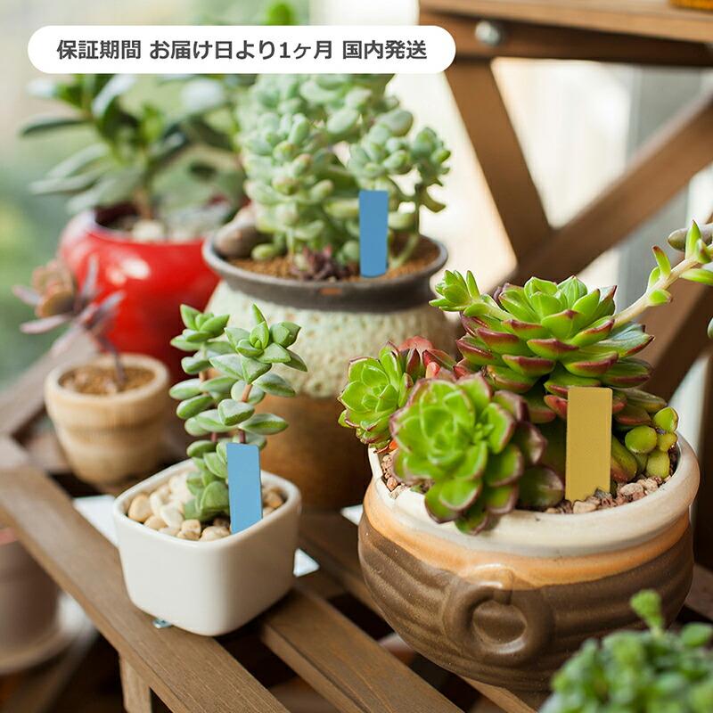 園芸用ラベル 短冊形 ×100点セット 約5cm 花壇・鉢植の植物名表示に