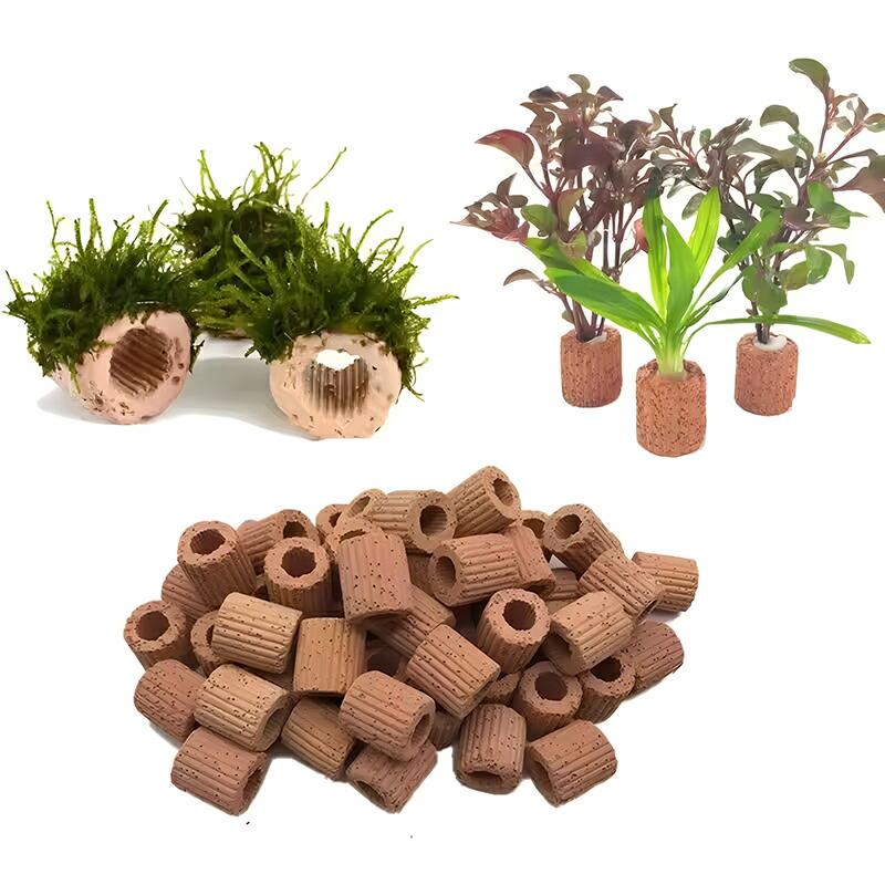 10個】 水草 おもり 水生植物固定リング 水槽用グリーンポット