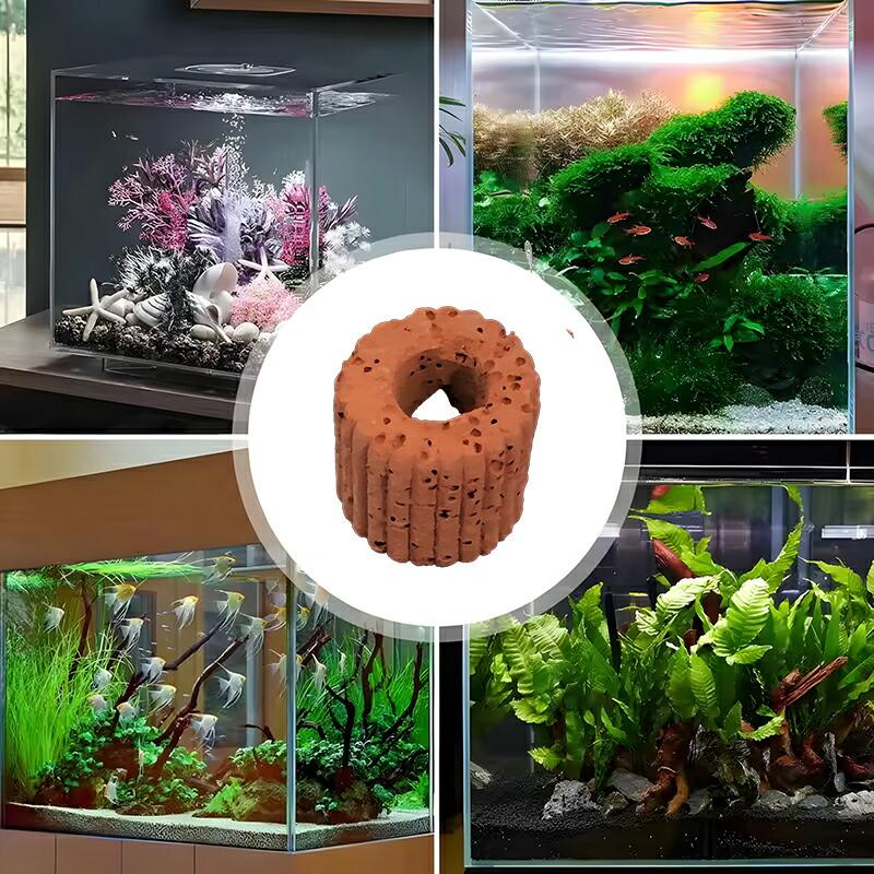 【即購入OK♥】10個セット 水生植物固定リング 水槽オーナメント おもり Amazon.co.jp: エイトショップ 屋 水生植物固定リング 水草固定