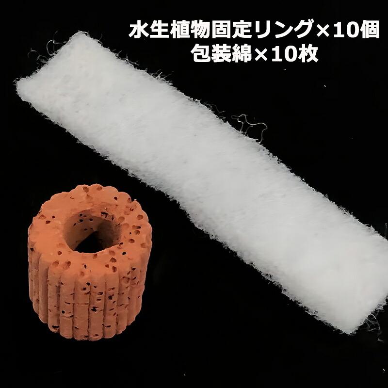 10個】 水草 おもり 水生植物固定リング 水槽用グリーンポット 水族館