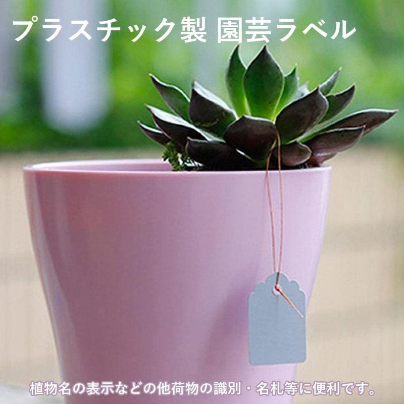 100点セット】園芸用ラベル 5cm×3.5cm 紐ハングタグ 花壇・鉢植の植物