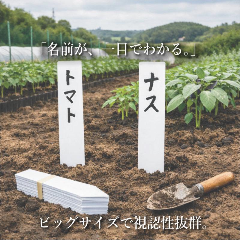 100点セット】 園芸用ラベル 短冊形 A 25cm × 4cm 鉢植の植物名表示に