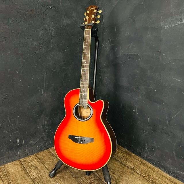 Craftman クラフトマン エレアコ アコースティックギター 【公式通販】