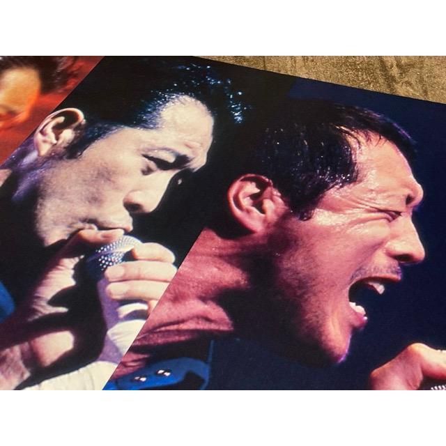 矢沢永吉 ポスター 【中古】 TheSpiritOfRock 75x105cm E.YAZAYA
