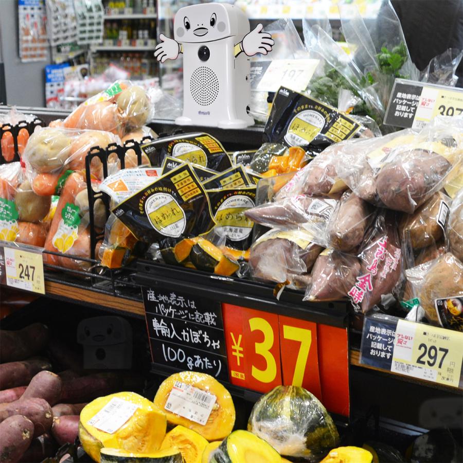 呼び込み君 (ビューサインmini無) (5台入)｜ POP LEDなし 顔付 販促