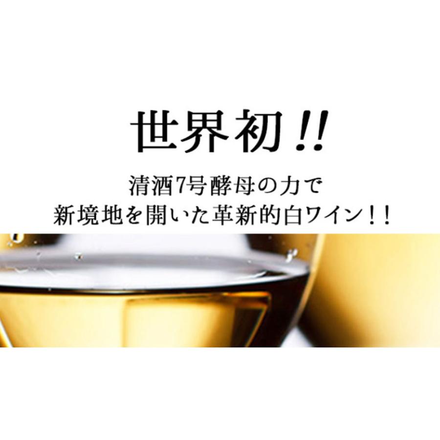 ぎんの雫 グット・ダルジャン・ ソーヴィニョン・ブラン （GIN NO