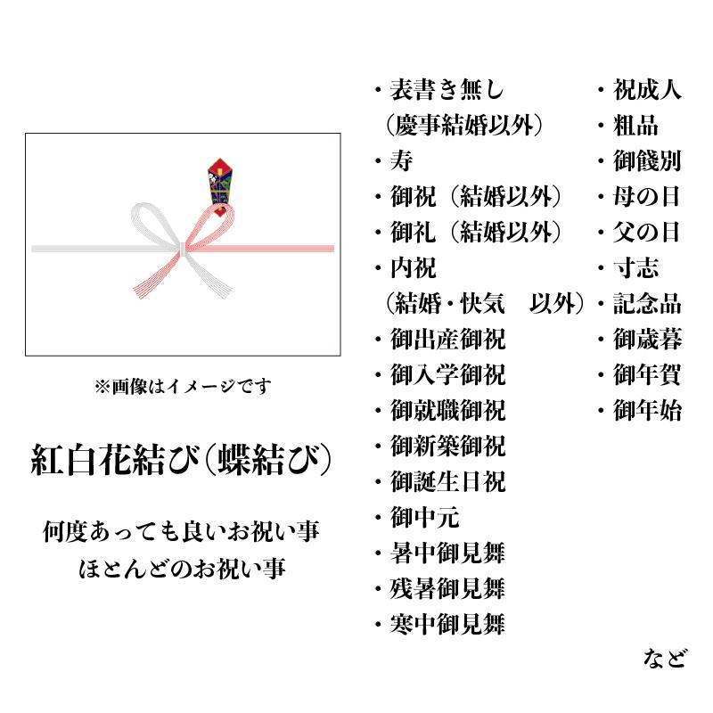 さみだれ ゆべし 10個入 柚餅子 ギフト 餅菓子 和菓子 お返し お