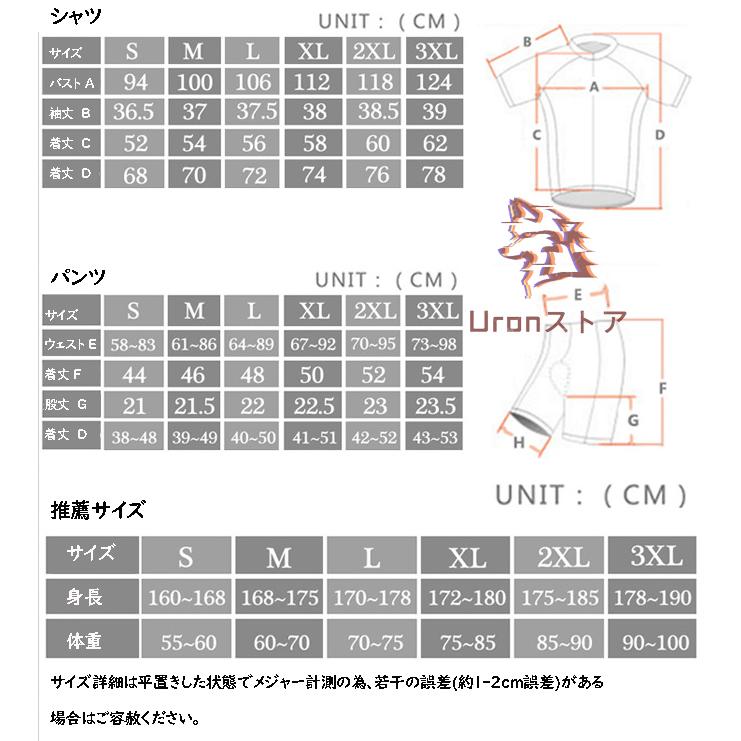 Bianchi i. サイクルジャケット長袖、半袖と ビブタイツセット、サイズM サイクルジャージ 上下セット ビブパンツ 半袖ウエア サイクリング用