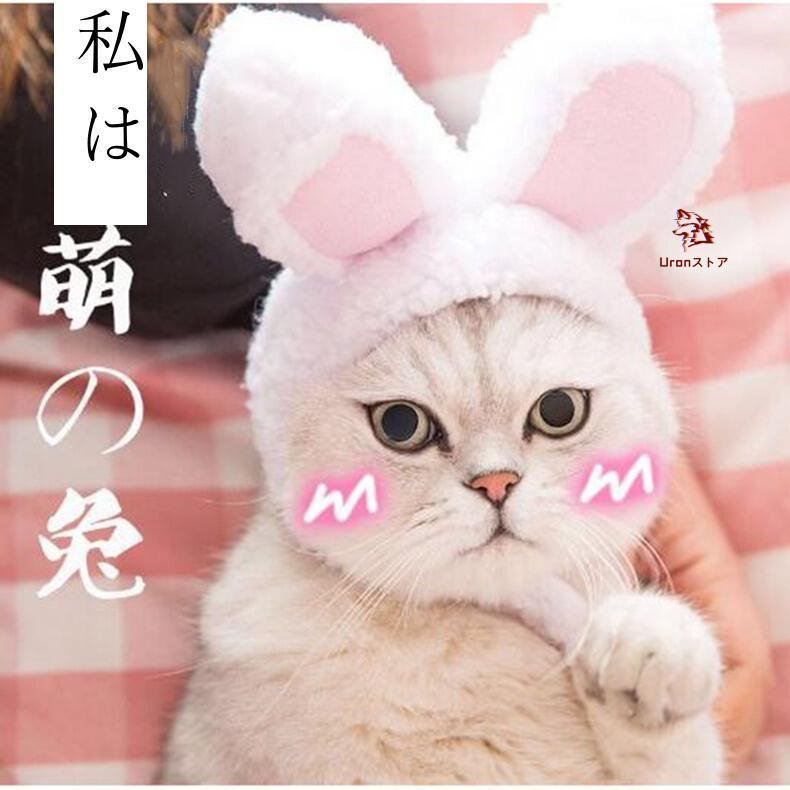 動画つき】ペット用品 帽子 ペット 猫用変身ほっかむり うさぎ