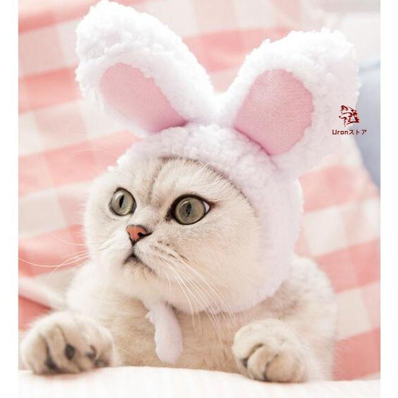 うさ耳帽子 コスプレ バニーキャップ ペット 猫 変装 ブルー イベント 動画つき】ペット用品 帽子 ペット 猫用変身ほっかむり うさぎ