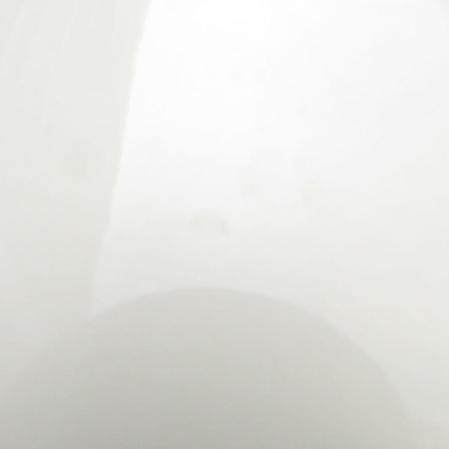 iittala（イッタラ） EGO エゴ 中皿 大皿 6枚 セット 19cm/25cm