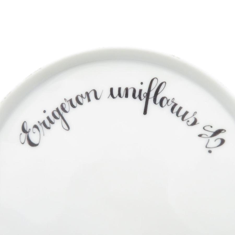 ROYAL COPENHAGEN 未使用 ロイヤルコペンハーゲン フローラダニカ 中皿