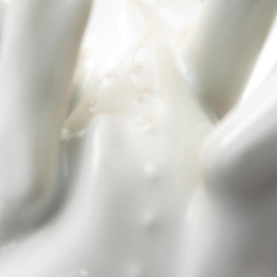 ROYAL COPENHAGEN（ロイヤルコペンハーゲン） 美品 2005年(1249194