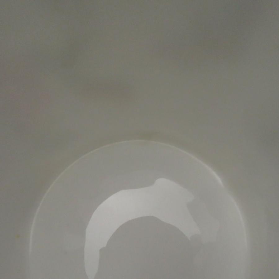 Royal Crown Derby 美品 ロイヤルクラウンダービー Derby Days