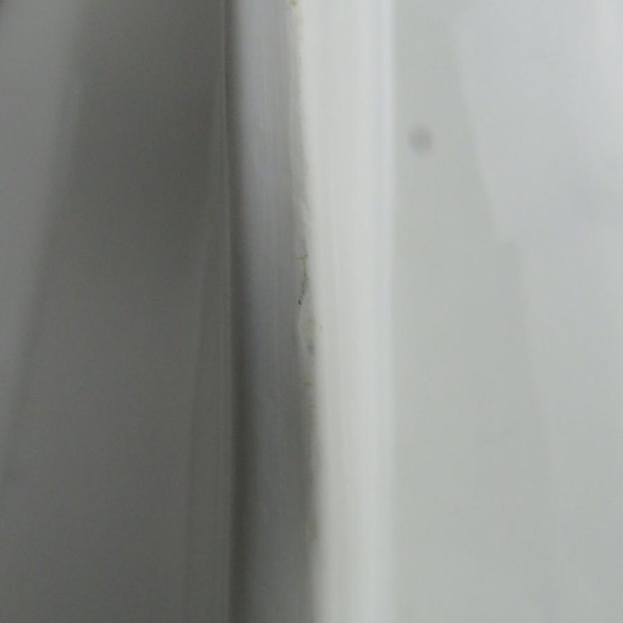 Richard Ginori（リチャードジノリ） 美品 アスパラガスディッシュ