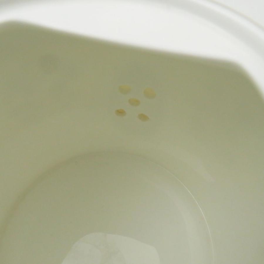 WEDGWOOD（ウェッジウッド） 美品 インディア ジャパニーズ