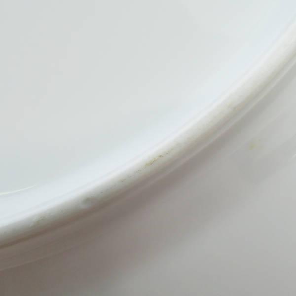 HAVILAND 美品 アビランド リモージュ モネ 大皿 1枚 27cmプレート 