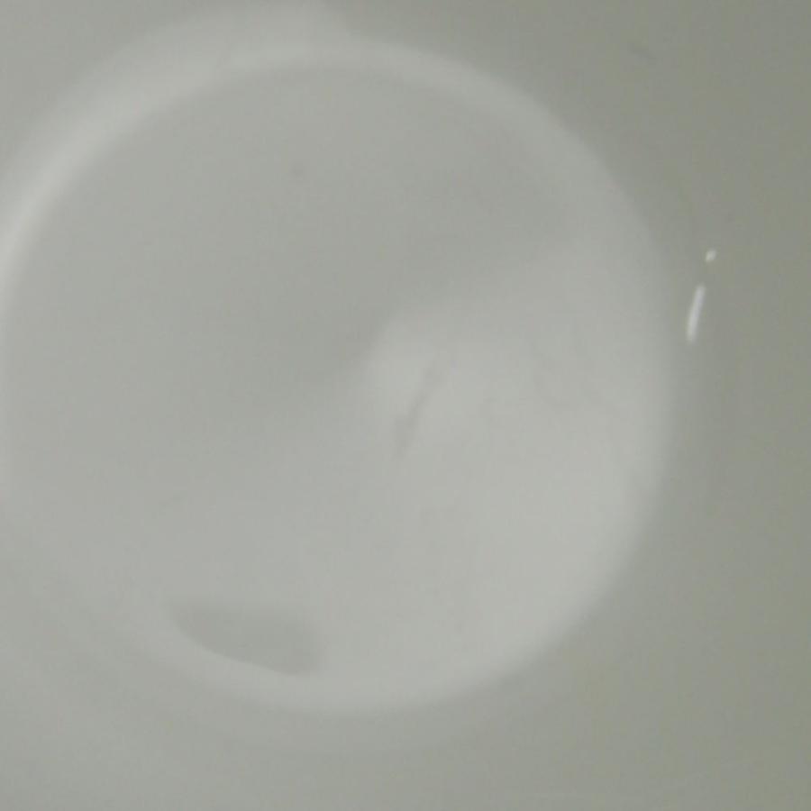 MINTON ミントン DONOVAN BIRD ドノバンバード ティーカップ