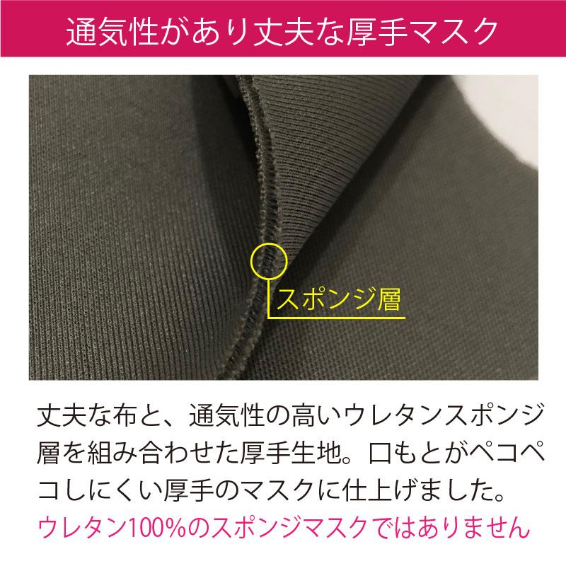 マスク 5枚組 【在庫処分セール/ポイント消化】 洗える 3D 立体マスク 