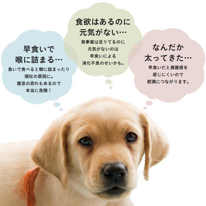 犬 猫 フードボウル 早食い防止 食器 ペットボウル ペットフードボウル ペット用品 ペット食器 ドッグフードボウル｜urushibara-store｜06