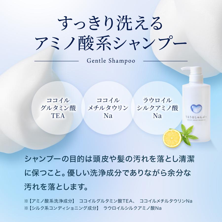 うるうるしゃんぷ〜 500ml ベタつかないのにしっとり潤う ノンシリコンシャンプー 美容室専売品 日本製 |  | 11