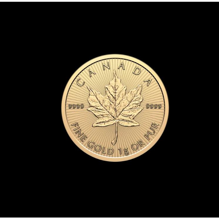 2026 カナダ メイプルリーフ 金貨 25g Au999.9 : 世界の紙幣 金 銀 銅
