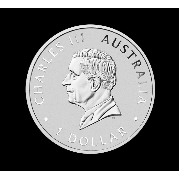 2026 オーストラリア カワセミ 銀貨 1oz Ag999.9 BU : 世界の紙幣 金
