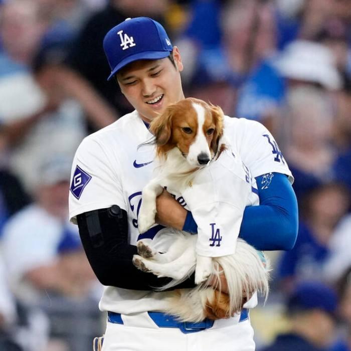 NIKE 大谷翔平 ユニフォーム 公式 nike ナイキ 限定仕様 NIKE 大谷翔平 ユニフォーム 公式 nike ナイキ 限定仕様