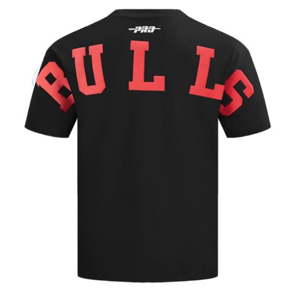 NBA公式 メンズ Tシャツ 半袖トップス プロスタンダード シカゴ