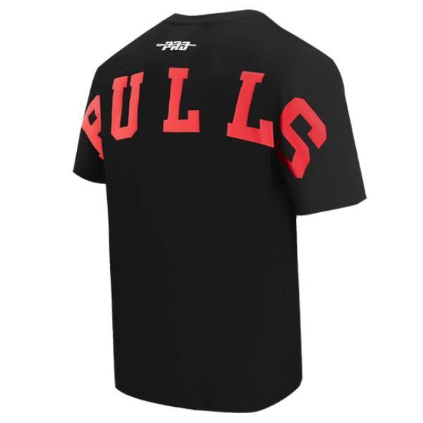 NBA公式 メンズ Tシャツ 半袖トップス プロスタンダード シカゴ