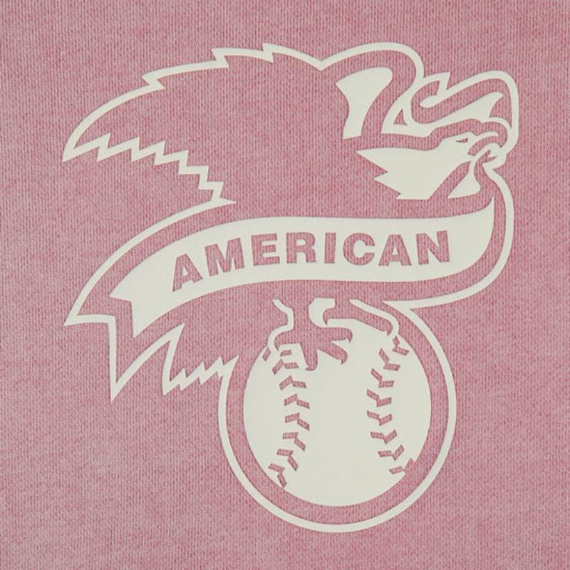 Pro Standard プロスタンダード MLB公式 メンズ パーカー フーディー 長袖トップス ニューヨーク・ヤンキース ジャッジ NEW YORK YANKEESの画像