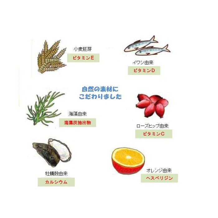 ゴールドジム サプリメント マルチビタミン＆ミネラル 360粒 (取り寄せ)(自社)(メール便不可)