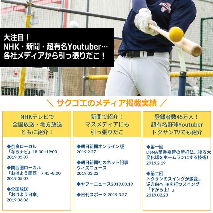 6月末入荷予定）サクゴエ バッティングティー SAKUGOE 大阪の